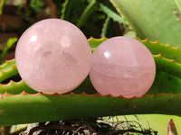 Polished Rose Quartz Spheres x 6 From Ambatondrazaka, Madagascar