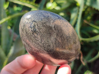 Polished Pharaoh Stone Palm Stones x 6 From Zimbabwe