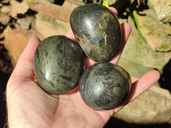 Polished Pharaoh Stone Palm Stones x 6 From Zimbabwe