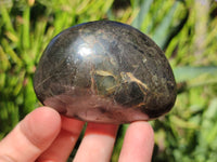 Polished Pharaoh Stone Palm Stones x 6 From Zimbabwe