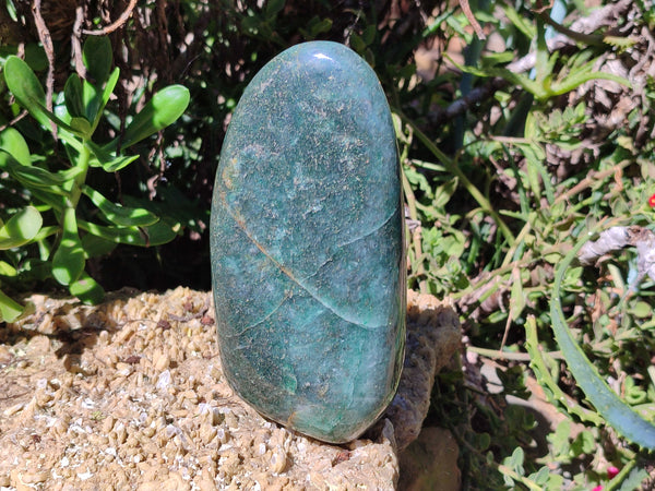 Polished Fuchsite Standing Free Forms x 2 From Madagascar