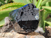 Natural Schorl Black Tourmaline Specimens x 2 From Erongo, Namibia