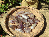 Natural Smokey Amethyst Crystals x 24 From Chiredzi, Zimbabwe