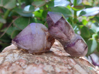 Natural Smokey Amethyst Crystals x 24 From Chiredzi, Zimbabwe