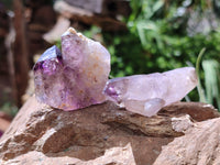 Natural Smokey Amethyst Crystals x 24 From Chiredzi, Zimbabwe