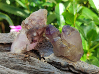 Natural Smokey Amethyst Crystals x 24 From Chiredzi, Zimbabwe