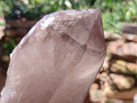 Natural Smokey Quartz Crystal Specimens x 2 From Malawi