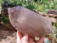 Natural Smokey Quartz Crystal Specimens x 2 From Malawi