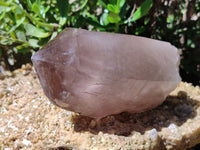 Natural Smokey Quartz Crystal Specimens x 2 From Malawi