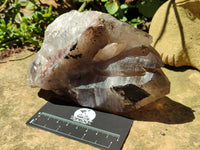 Natural Smokey Quartz Crystal Specimens x 2 From Malawi