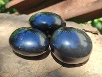 Polished Black Basalt Palm Stones x 26 From Antsirabe, Madagascar