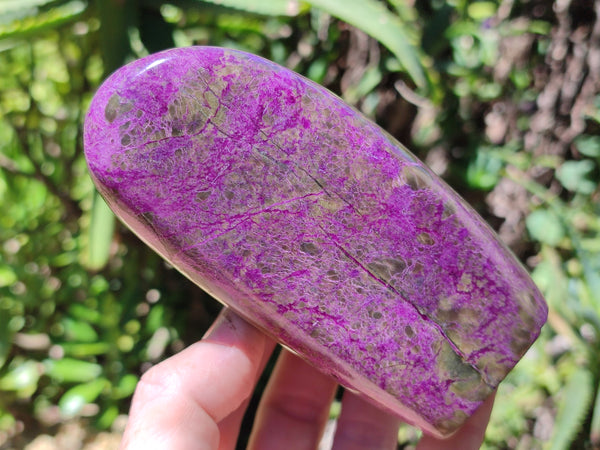 Polished Stichtite Standing Free Forms x 2 From Barberton, South Africa