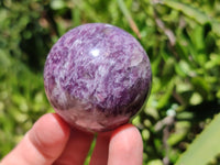 Polished Lepidolite with Pink Rubellite Sphere x 6 From Madagascar