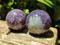 Polished Lepidolite with Pink Rubellite Sphere x 6 From Madagascar