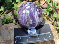 Polished Lepidolite with Pink Rubellite Sphere x 6 From Madagascar