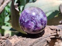 Polished Lepidolite with Pink Rubellite Sphere x 6 From Madagascar