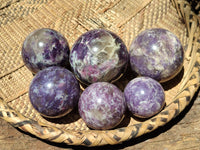 Polished Lepidolite with Pink Rubellite Sphere x 6 From Madagascar