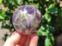 Polished Lepidolite with Pink Rubellite Sphere x 6 From Madagascar