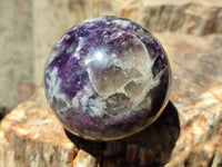 Polished Lepidolite with Pink Rubellite Sphere x 6 From Madagascar