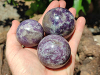 Polished Lepidolite with Pink Rubellite Sphere x 6 From Madagascar