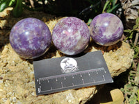 Polished Lepidolite with Pink Rubellite Sphere x 6 From Madagascar