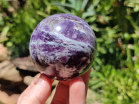 Polished Lepidolite with Pink Rubellite Sphere x 6 From Madagascar