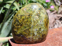 Polished Green Opal Standing Free Forms x 3 From Antsirabe, Madagascar