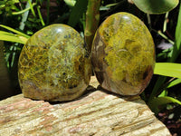 Polished Green Opal Standing Free Forms x 3 From Antsirabe, Madagascar