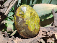 Polished Green Opal Standing Free Forms x 3 From Antsirabe, Madagascar