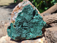 Natural Botryoidal Malachite Specimens x 2 From Congo