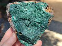 Natural Botryoidal Malachite Specimens x 2 From Congo