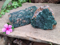 Natural Botryoidal Malachite Specimens x 2 From Congo