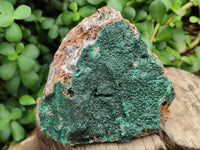 Natural Botryoidal Malachite Specimens x 2 From Congo