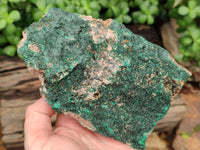 Natural Botryoidal Malachite Specimens x 2 From Congo