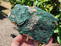 Natural Botryoidal Malachite Specimens x 2 From Congo