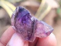 Natural Window Amethyst Crystals x 44 From Chiredzi, Zimbabwe