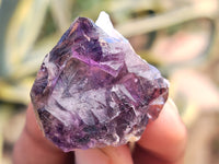 Natural Window Amethyst Crystals x 44 From Chiredzi, Zimbabwe