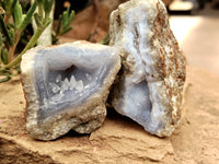 Natural Blue Lace Agate Geode Specimens x 24 From Malawi