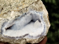 Natural Blue Lace Agate Geode Specimens x 24 From Malawi