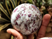 Polished Rubellite Pink Tourmaline Spheres x 2 From Ambatondrazaka, Madagascar