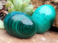 Polished Flower Banded Malachite Cabochons x 40 From Congo