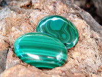 Polished Flower Banded Malachite Cabochons x 40 From Congo