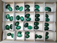 Polished Flower Banded Malachite Cabochons x 40 From Congo