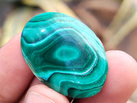 Polished Flower Banded Malachite Cabochons x 40 From Congo