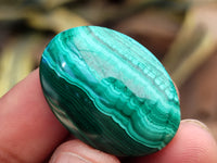 Polished Flower Banded Malachite Cabochons x 40 From Congo