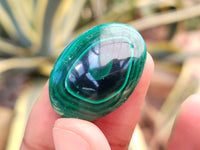 Polished Flower Banded Malachite Cabochons x 40 From Congo