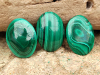 Polished Flower Banded Malachite Cabochons x 40 From Congo