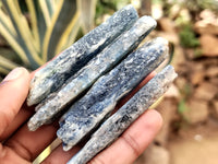 Natural Kyanite Crystals x 49 From Zimbabwe