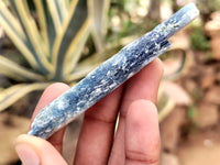 Natural Kyanite Crystals x 49 From Zimbabwe