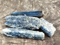 Natural Kyanite Crystals x 49 From Zimbabwe